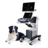 Sistema de Ultrasonido Veterinario VETUS9 - Mindray Animal Care - Vetus 9 Gold + Transductores Microconvexo + Lineal + Sectorial