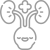 urologia